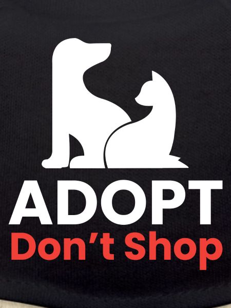 Adopt - dont shop I Tierretter