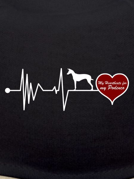 Podenco Canario Heartbeat