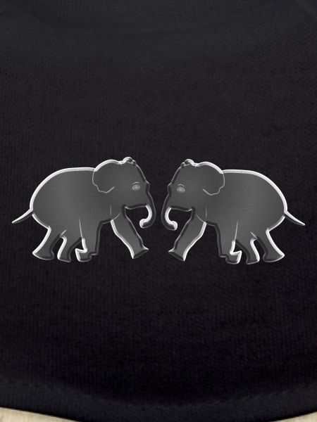 two elephant animals animals