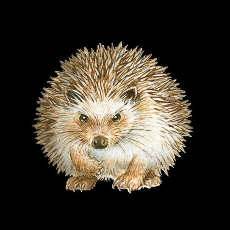 Hérisson en colère