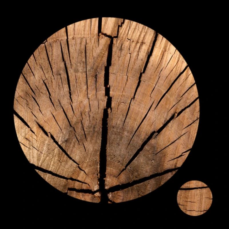 Holz Muster Kreise
