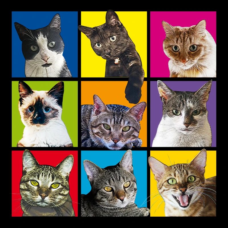 chats cool | chats cool - pop art | Pop Art