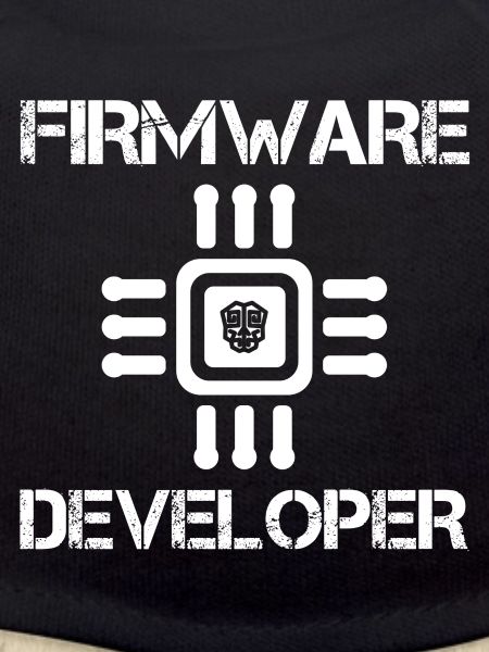 Firmware developer