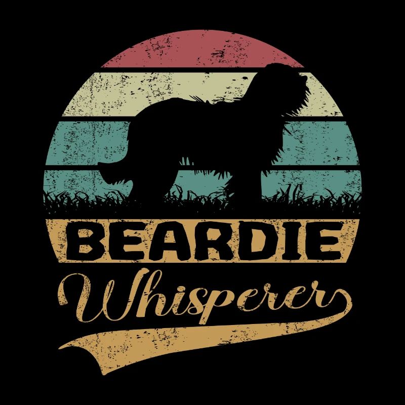 Bearded Collie Murmure Beardie