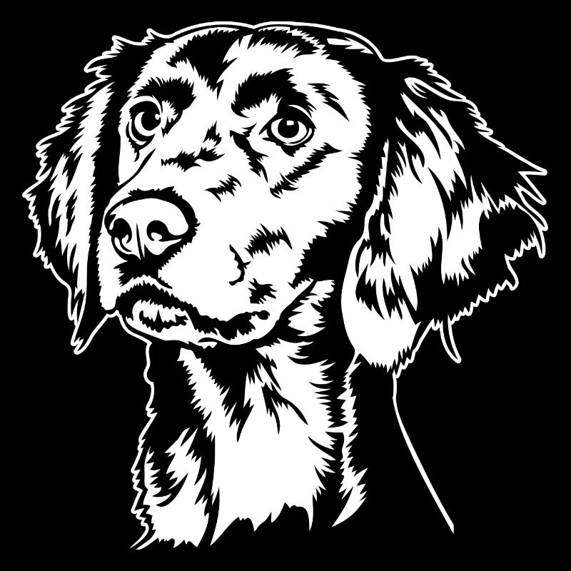 Langhaar Weimaraner Portrait Hund Hunde Wilsigns