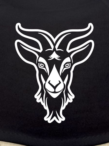 Ziege Steinbock Ziegenbock