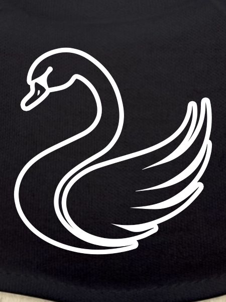 Swan Swans