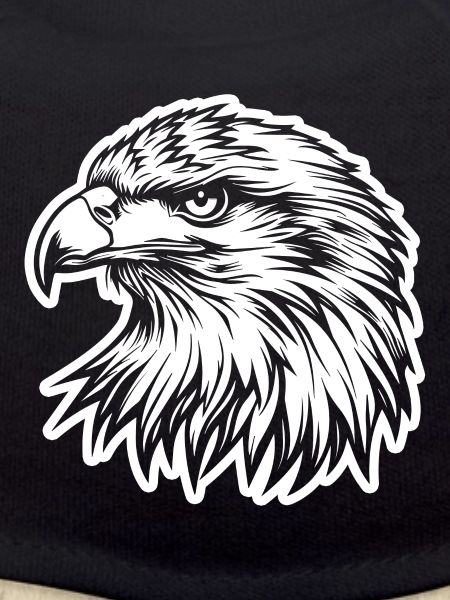 Eagle Eagle Head