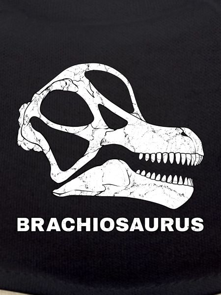 Brachiosaurus Fossil Head