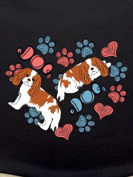 Cavalier King Charles Spaniel Chien