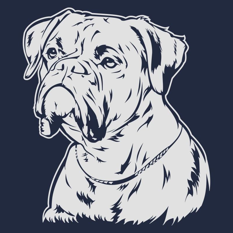 Boxer