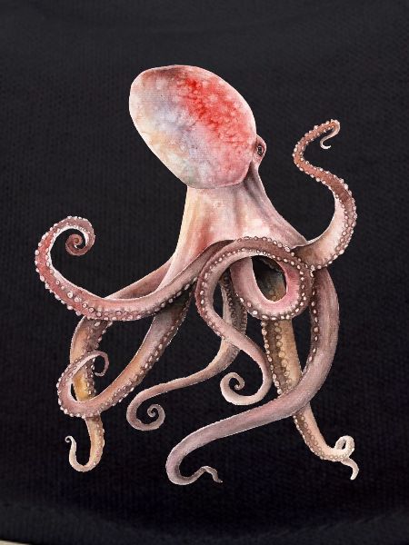 Krake