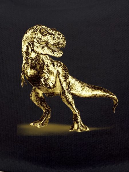 T-Rex Dinosaur Illustration