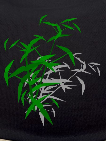 Bamboo with shadow