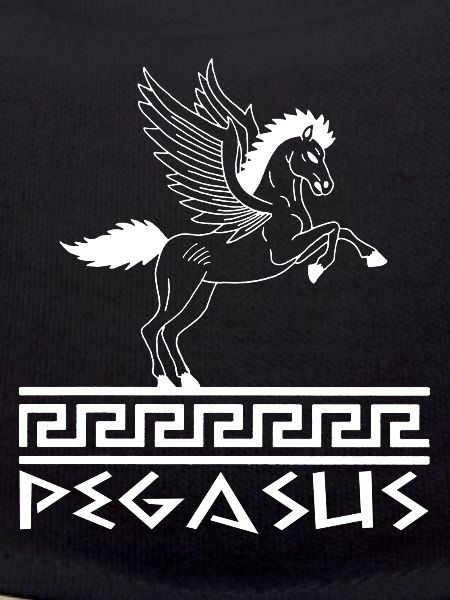 White Pegasus Horse