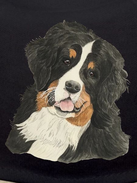 Bernese Mountain Dog