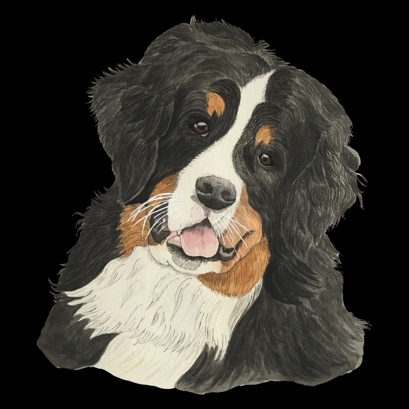 Chien de montagne bernois