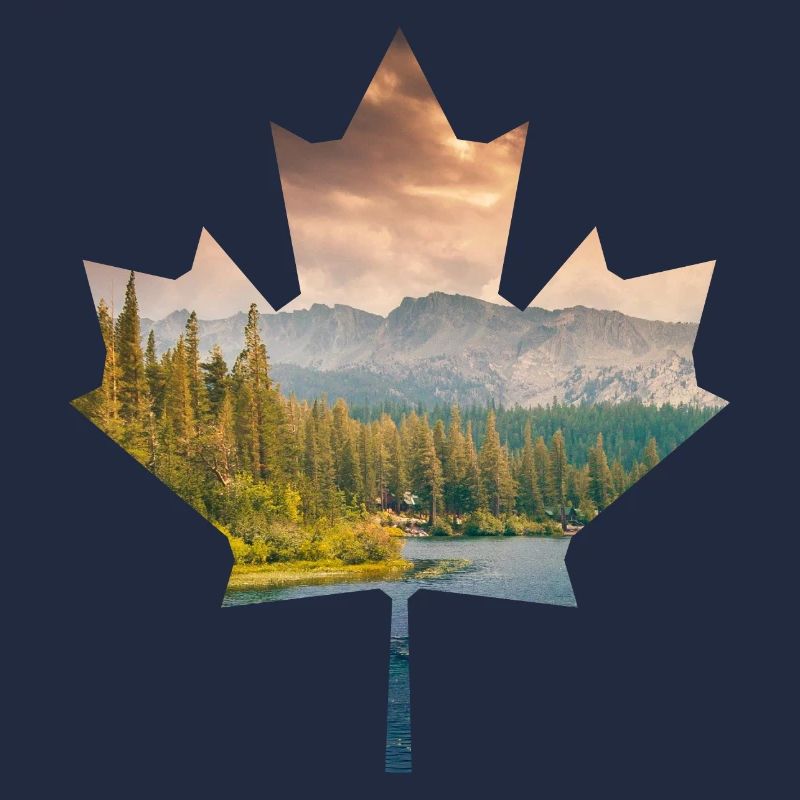 Ahronblatt Canada Nature Forêt Lac Montagnes Camping