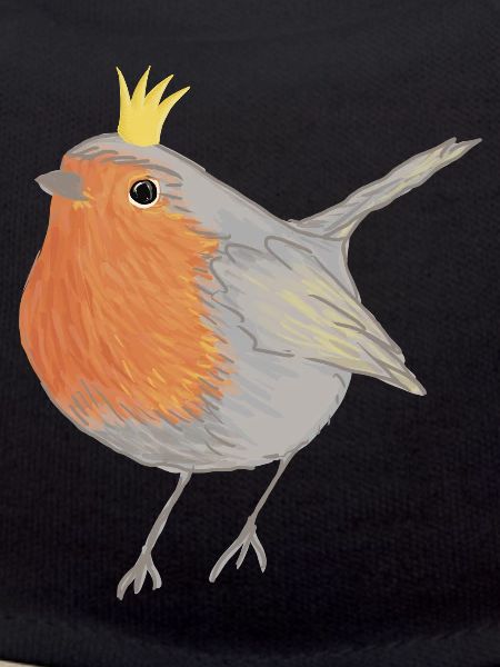 Princesse Robin