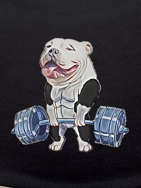 Muscle Bully