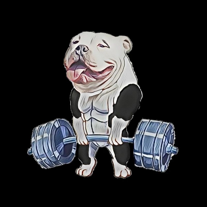Muscle Bully