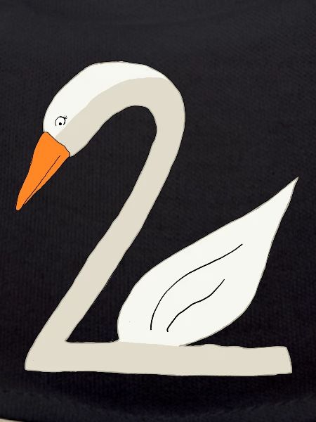 Schwan 2