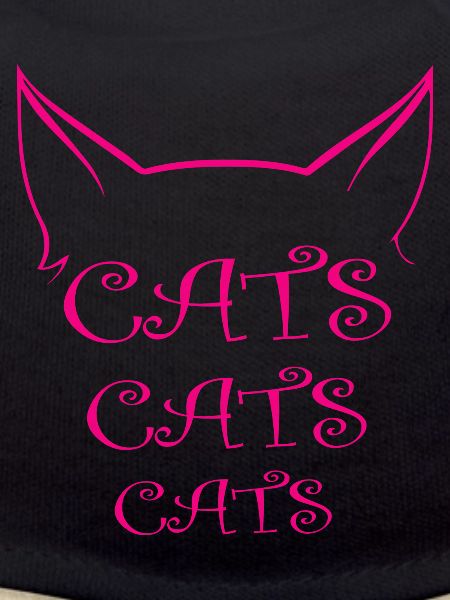 Chat Katze