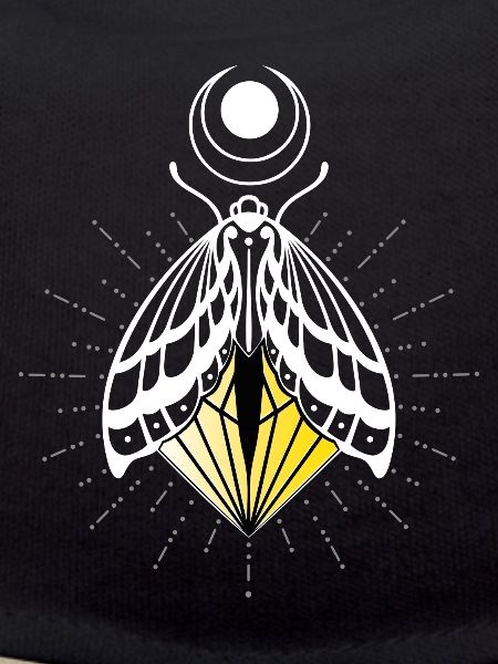 Firefly Moth Moth Moth