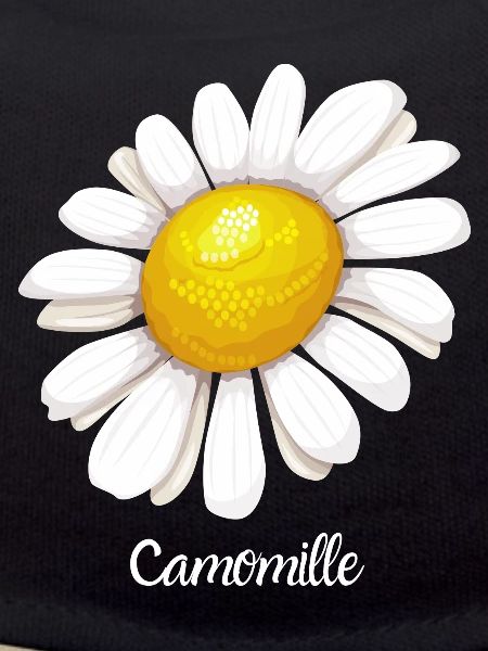 Camomille