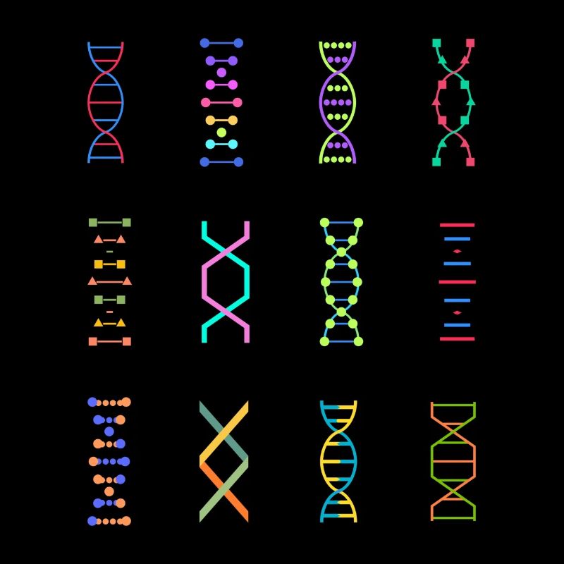 DNA genetics stem biology