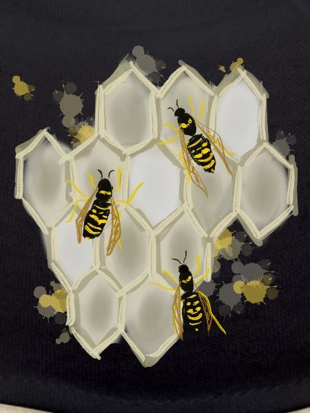 Wasps