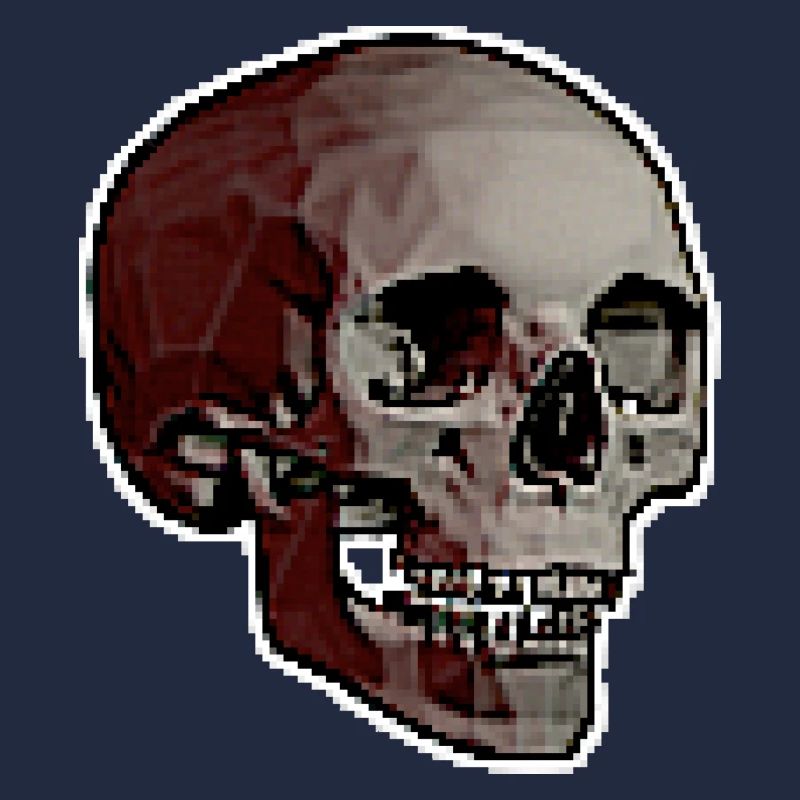 PIXEL SKULL