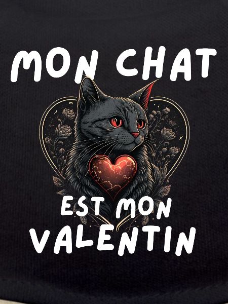 Mon chat est mon Valentin