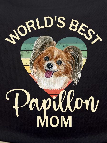 Dog Papillon Dwarf Spaniel