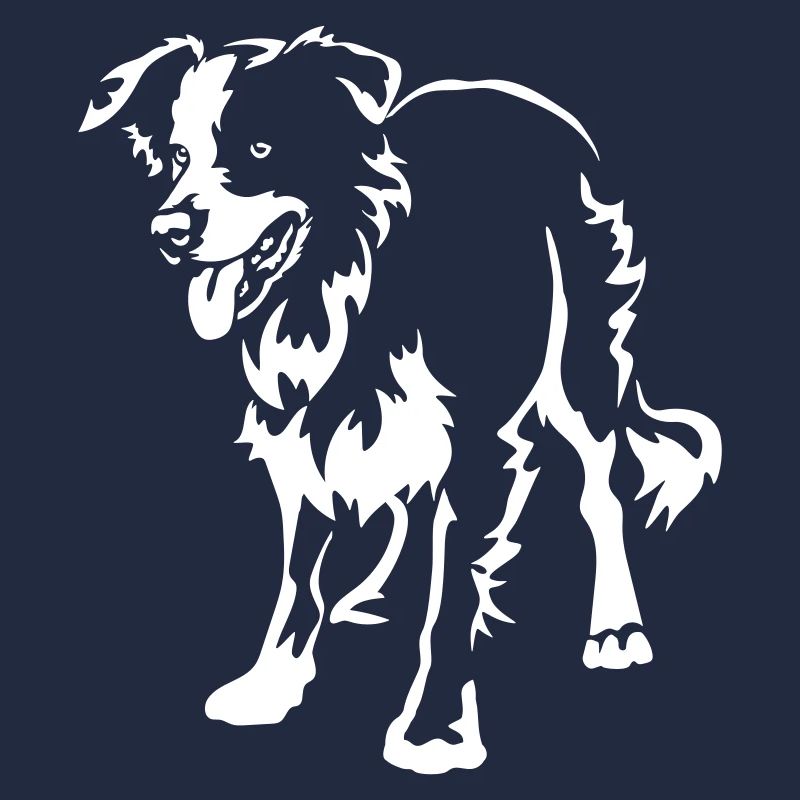 Border Collie "Black Edition"