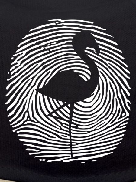 Empreinte ADN de Flamingo Flamingo
