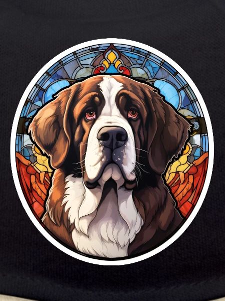 St. Bernard's Head