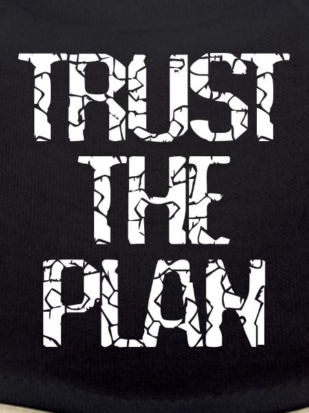 TRUST THE PLAN