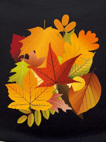 Autumn Fall Leaves