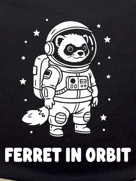 Furets en orbite