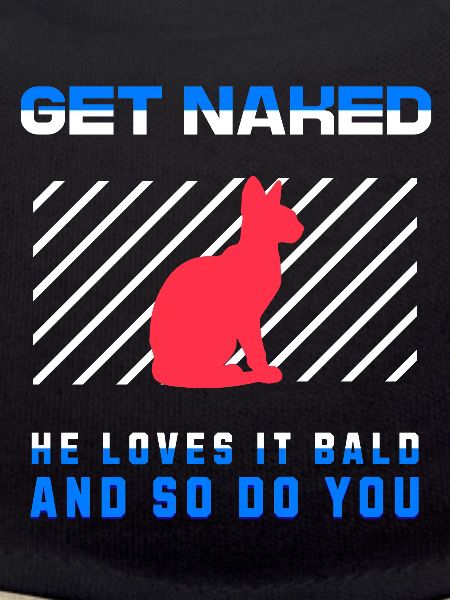 Get Naked Sphynx Cat 