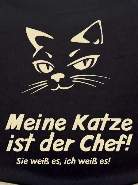 Mon chat est le patron