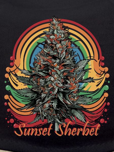 Sunset Sherbet