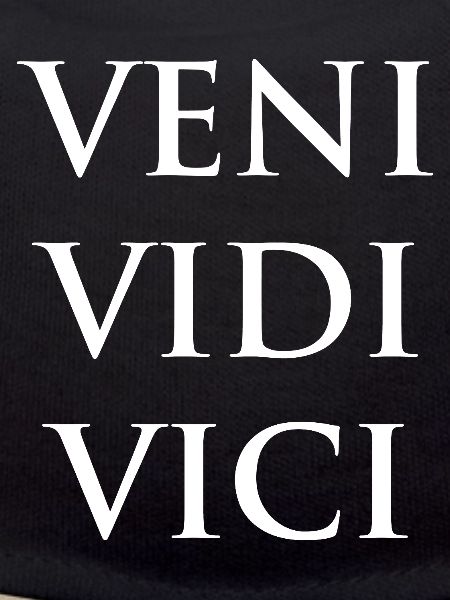 Veni Vidi Vici Bold Phrase