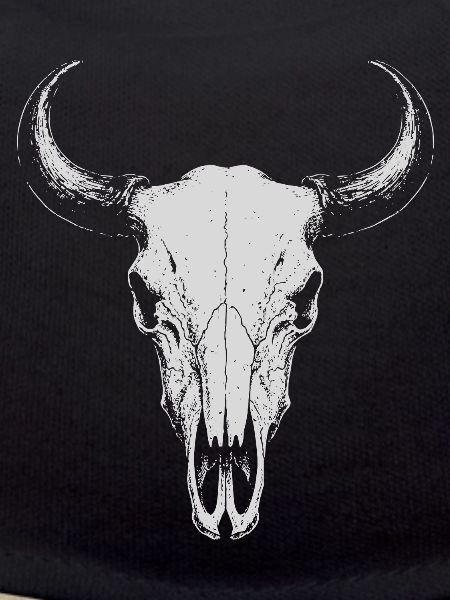 Bull Skull Horns