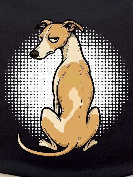 Whippet Greyhound Whippets Greyhound Owner