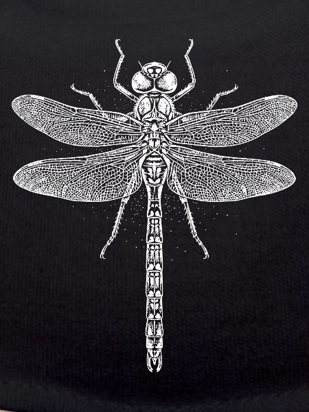 Moonlit Dragonfly Line Art