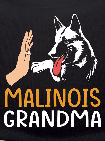 Belgian Malinois