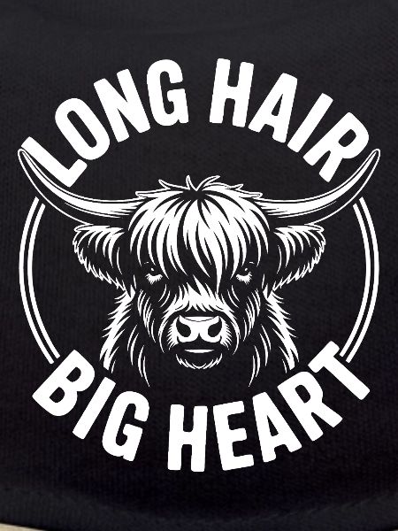 Highland cattle Highlands