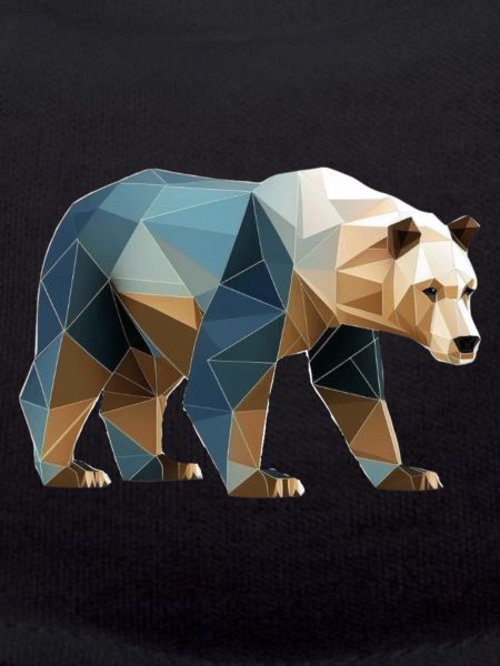 Geometric bear